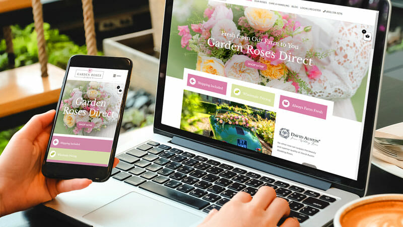 Santa Barbara WordPress Web Design & E-Commerce Development