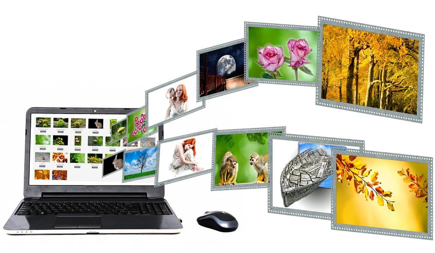 SEO-Google-Image-Search SEO-Google-Image-Search