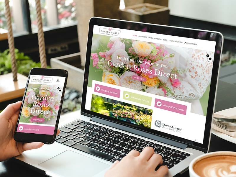 homepage-slider-garden-roses-direct